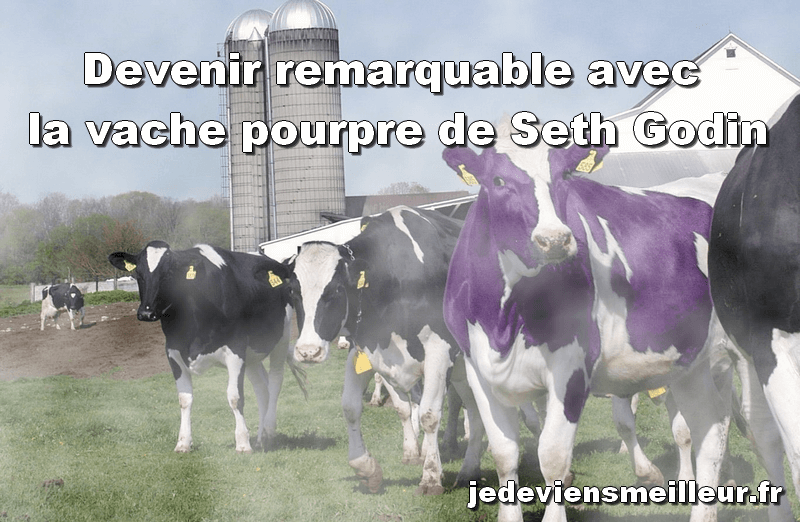 Devenir remarquable avec la vache pourpre de Seth Godin